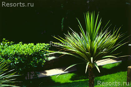 Apartments Lanterna Rabac 6
